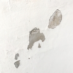 26408317_s.jpg