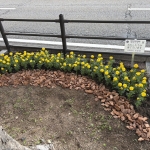 S__392585224.jpg