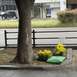 S__392585227.jpg